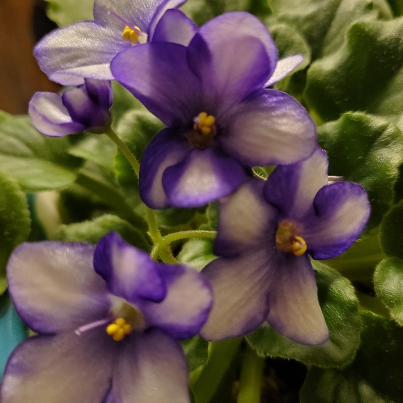 Hello! - Picture 2 of 2